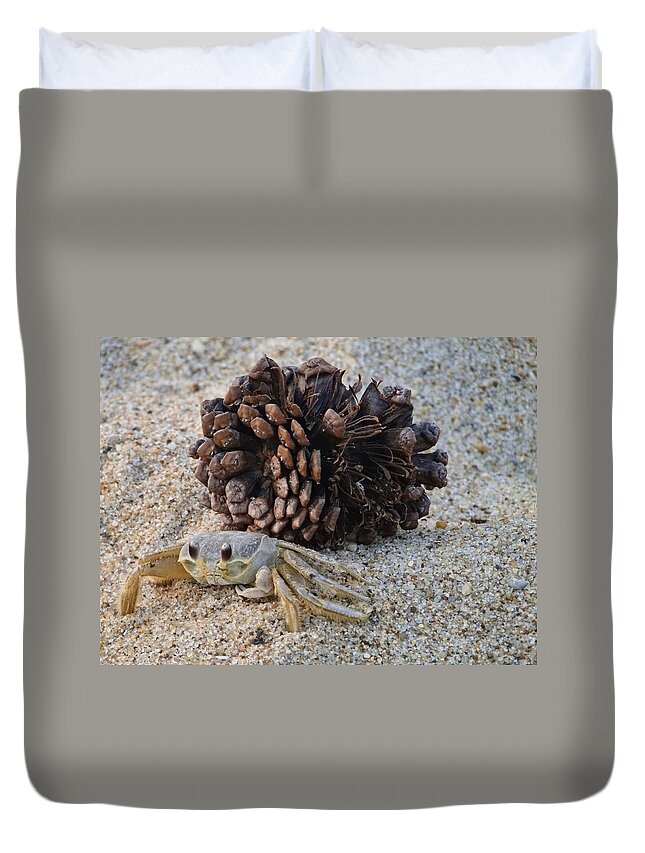 Crab Duvet Cover featuring the photograph Sand Crab by Alan Hutchins