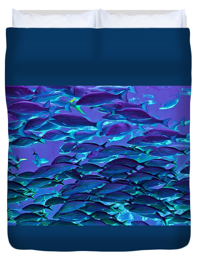 Fish Duvet Cover featuring the photograph School Daze by DigiArt Diaries by Vicky B Fuller