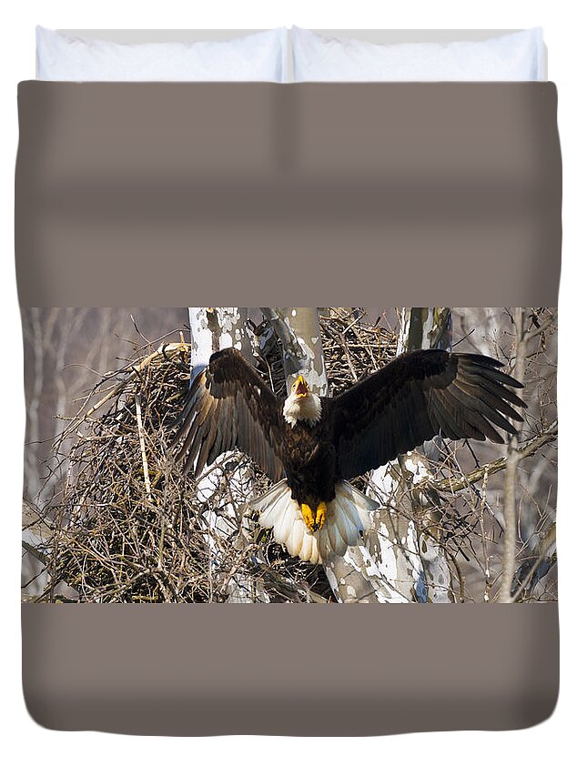 Eagle Duvet Cover featuring the photograph Screaming Eagle by Randall Branham
