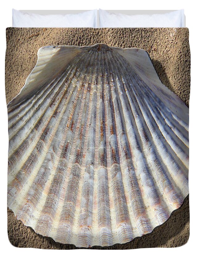 Sea Shell Duvet Cover featuring the photograph Sea Shell 2 by Mike McGlothlen