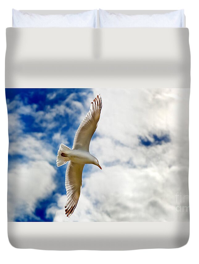 Seagul Duvet Cover featuring the photograph Seagul gliding in flight by Simon Bratt