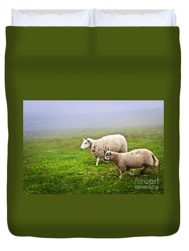Sheep Duvet Cover featuring the photograph Sheep in misty meadow by Elena Elisseeva