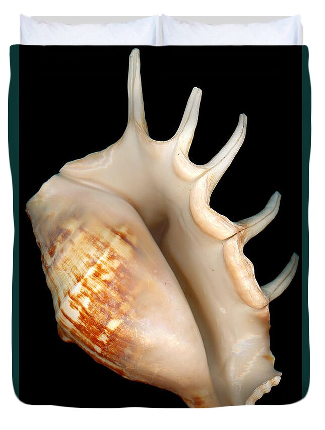 Conch Duvet Cover featuring the photograph Shell - Conchology - Conch by Mike Savad