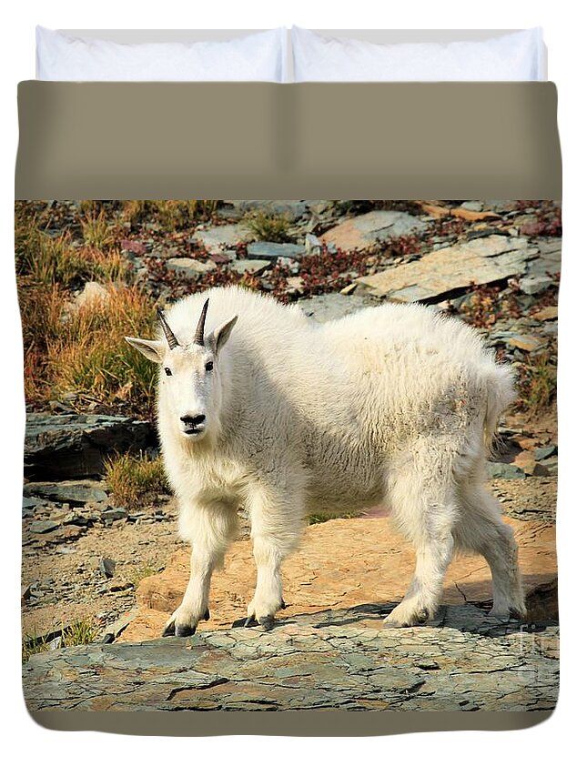 Glacier National Park Duvet Cover featuring the photograph Shocked by Adam Jewell
