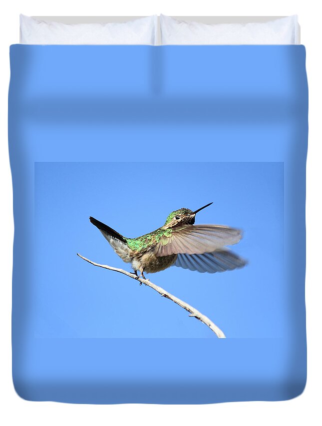 Hummingbird Duvet Cover featuring the photograph Showing My Beauty by Shane Bechler