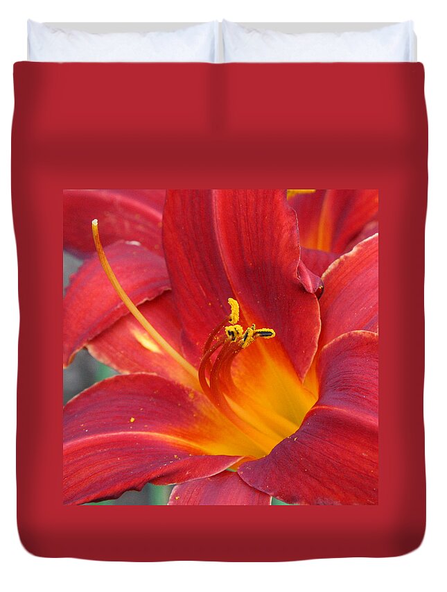 Floral Duvet Cover featuring the photograph Single Red Lily 2 by Donna Corless