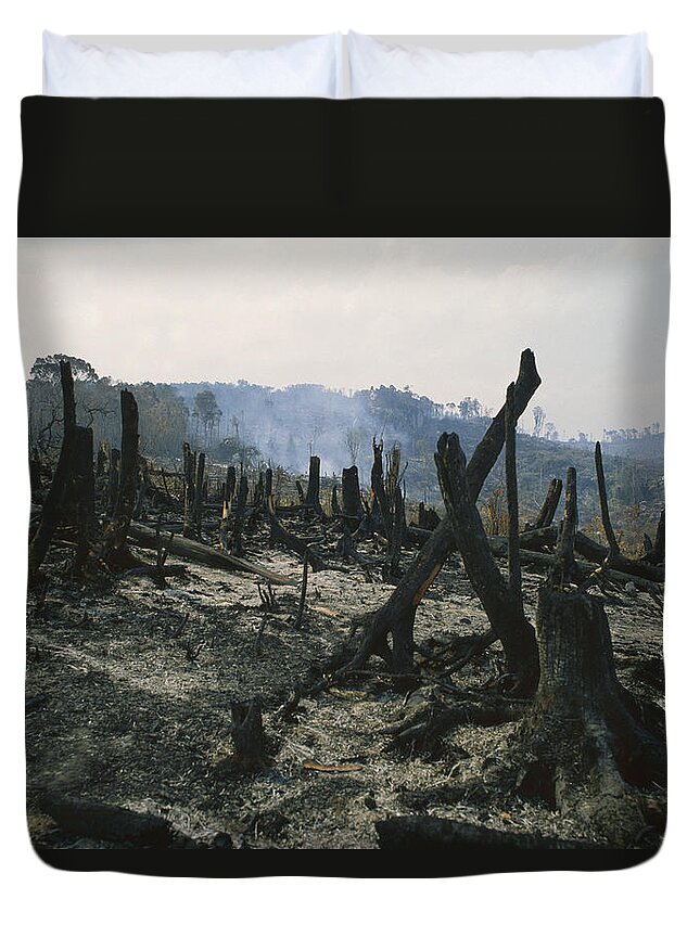 Mp Duvet Cover featuring the photograph Slash And Burn Agriculture, Where by Konrad Wothe