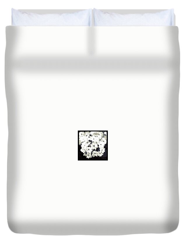 Black And White Duvet Cover featuring the photograph small flowers in BW by Justin Connor