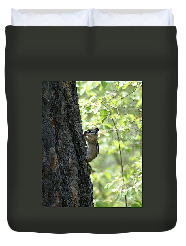 Chipmunk Duvet Cover featuring the photograph Snacking in the Woods by Ben Upham III