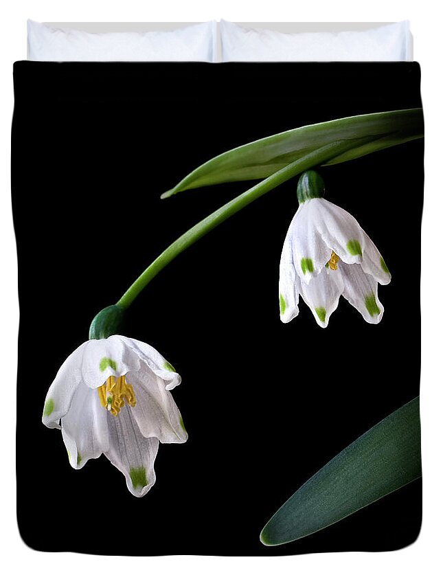 Flower Duvet Cover featuring the photograph Snow Drops by Endre Balogh