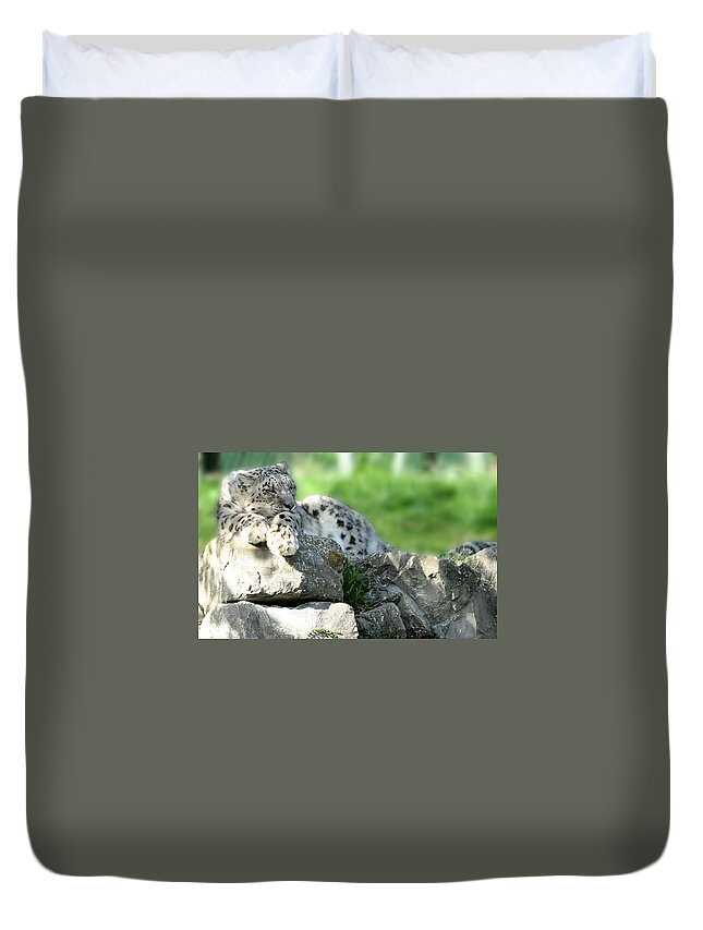 Snow Leopard Duvet Cover featuring the photograph Snow Leopard at Rest. Kitty Time by Jenny Rainbow