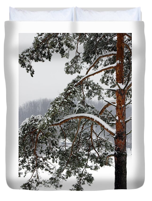 Pinetree Duvet Cover featuring the photograph Snow Pine by Michelle Joseph-Long