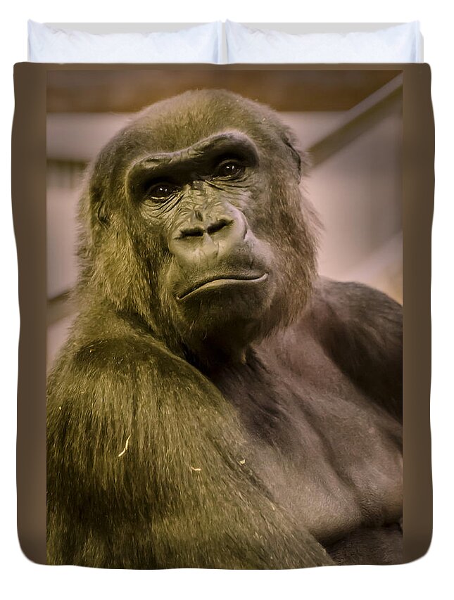 Gorilla Duvet Cover featuring the photograph So Like Us by Heather Applegate