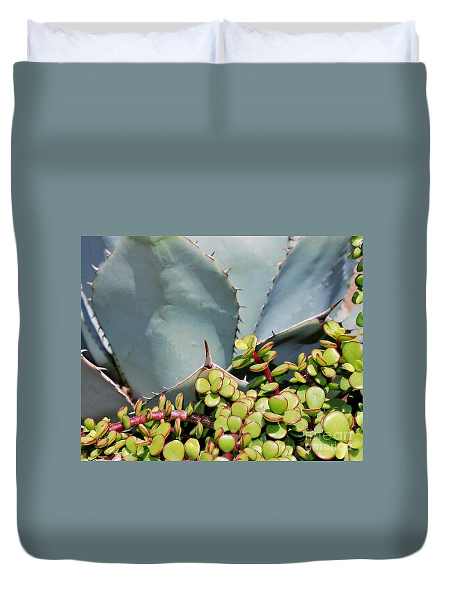 Agave Duvet Cover featuring the photograph Soft and Sharp by Heather Kirk