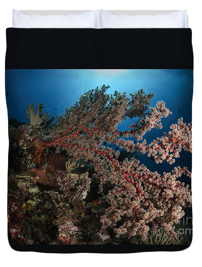Ocean Duvet Cover featuring the photograph Soft Coral Reef Seascape, Indonesia by Todd Winner