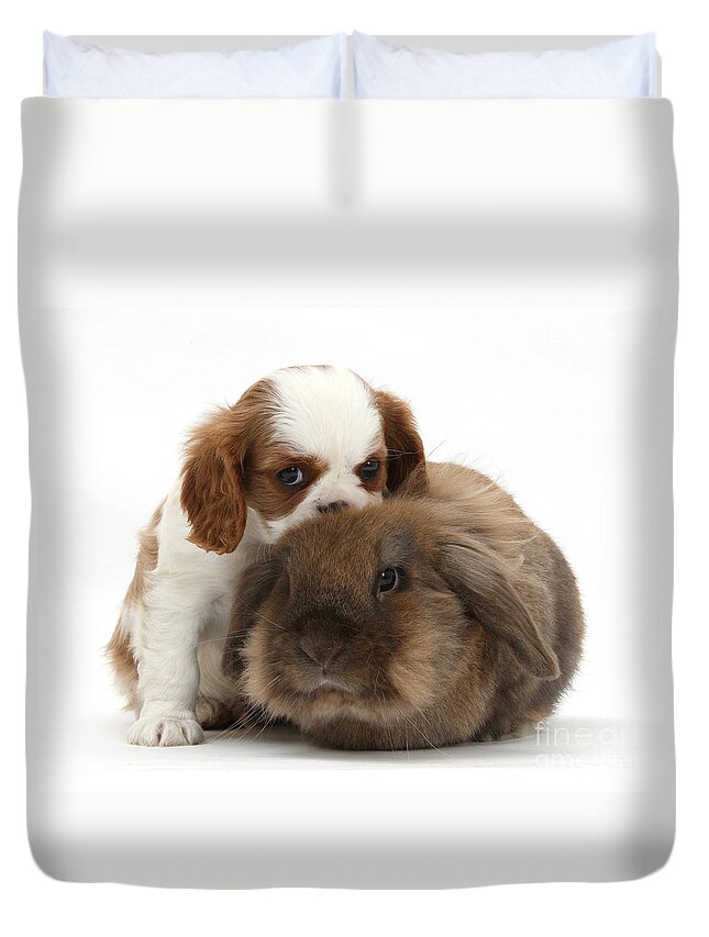 Animal Duvet Cover featuring the photograph Spaniel Puppy And Rabbit by Mark Taylor