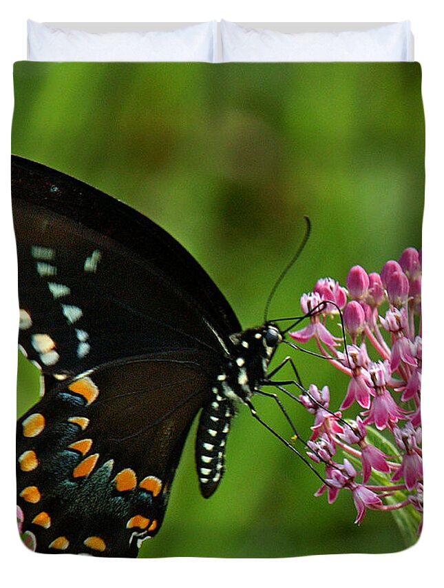 Nature Duvet Cover featuring the photograph Spicebush Swallowtail DIN039 by Gerry Gantt