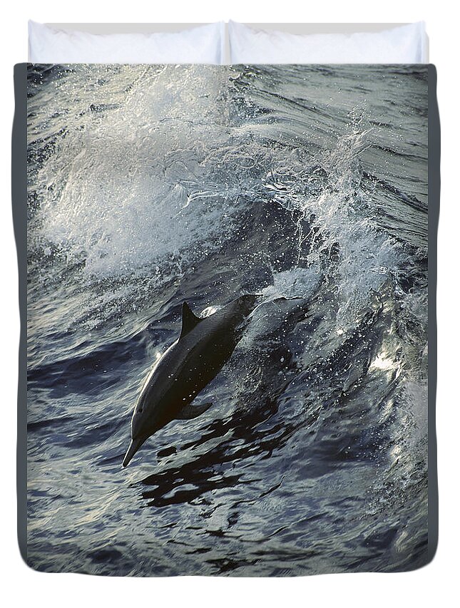 Surfing And Dolphins Duvet Covers