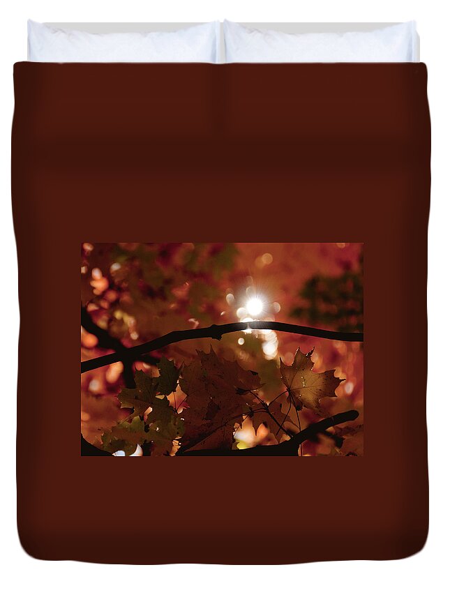 Landscape Duvet Cover featuring the photograph Spotlight on Fall by Cheryl Baxter