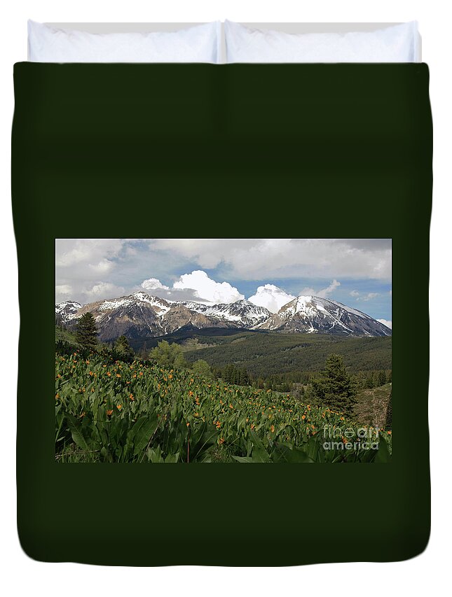 Flowers Duvet Cover featuring the photograph Spring Bloom by Edward R Wisell