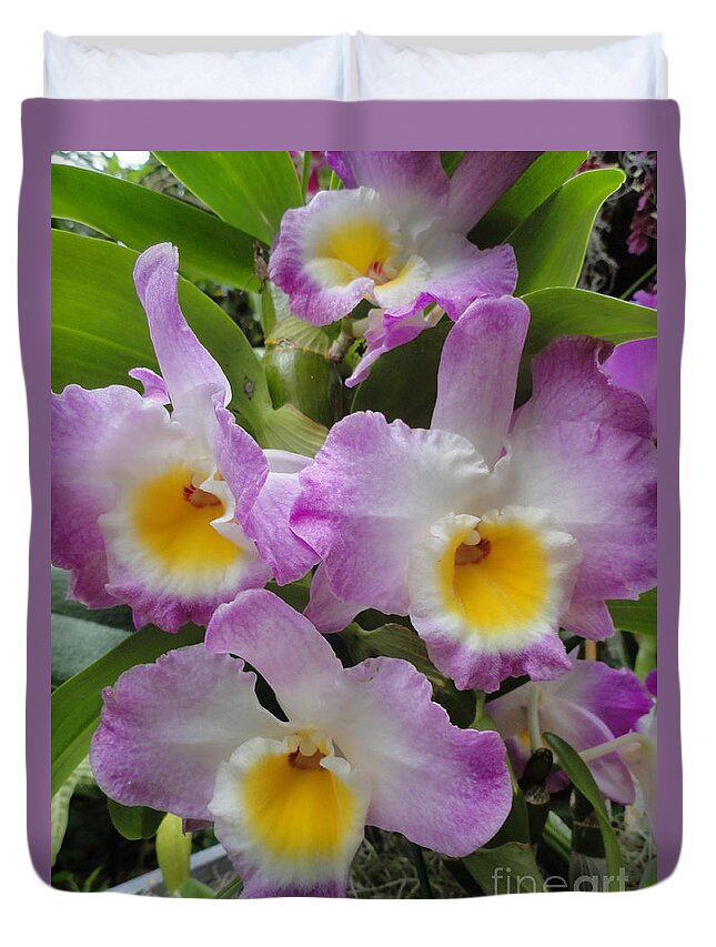 Orchids Duvet Cover featuring the photograph Springy Ruffles by Trish Hale