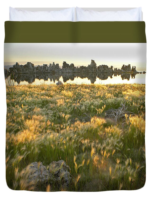 00175339 Duvet Cover featuring the photograph Squirreltail Barley And Tufa Towers by Tim Fitzharris