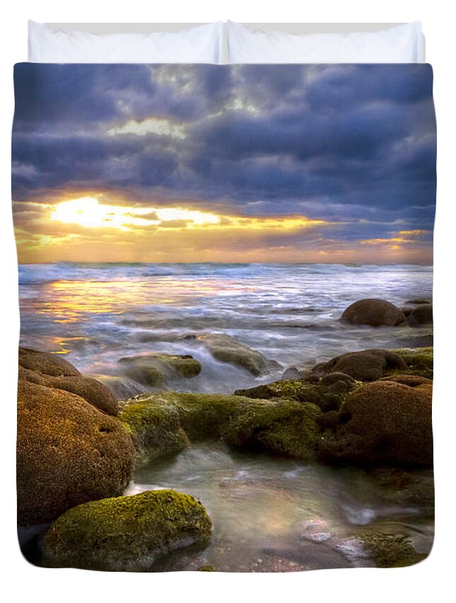 Blowing Rocks Duvet Cover featuring the photograph Star Coral by Debra and Dave Vanderlaan