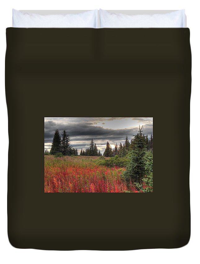 Clouds Duvet Cover featuring the photograph Storm Clouds in Fall by Michele Cornelius