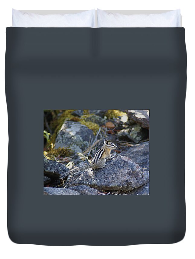 Chipmunks Duvet Cover featuring the photograph Straight Tailed Chipmunk on a Rock by Ben Upham III