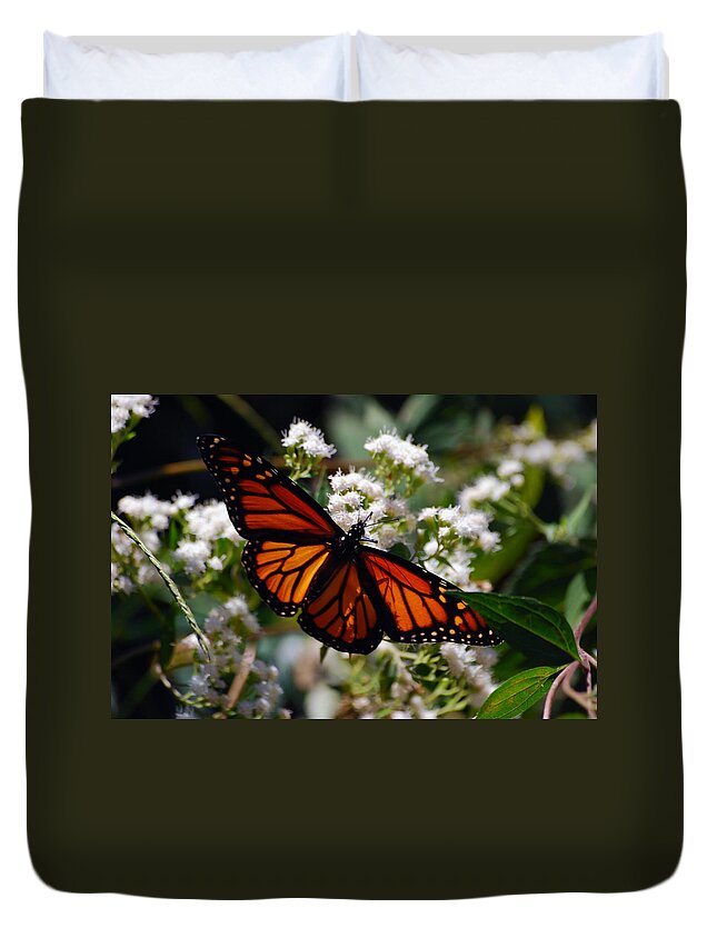 Butterfly Duvet Cover featuring the photograph Summers Treat by Lori Tambakis