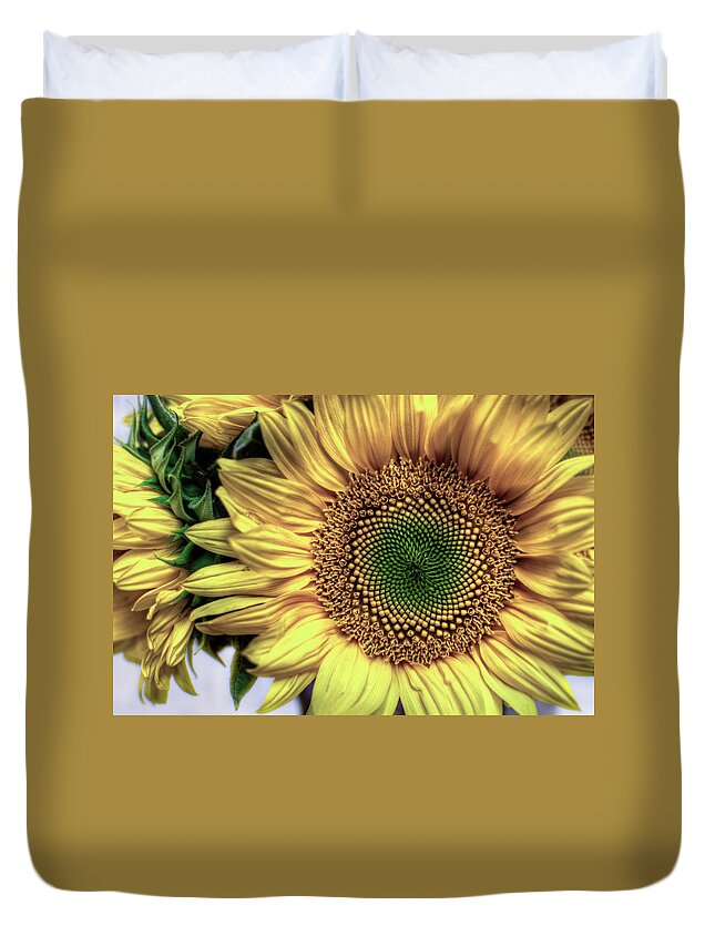  Duvet Cover featuring the photograph Sunflower 28 by Natasha Bishop