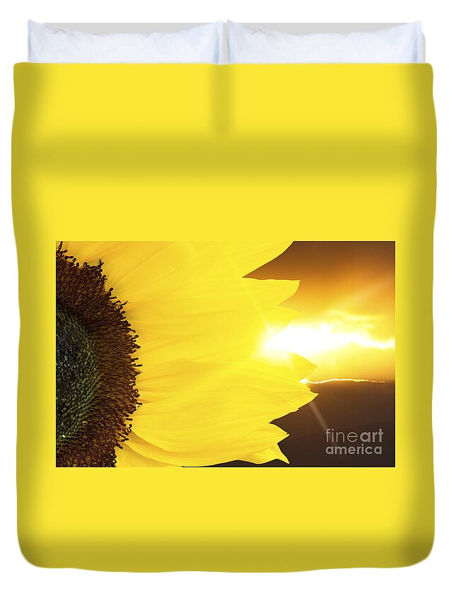 Sunflower Duvet Cover featuring the photograph Sunflower and sunset by Simon Bratt