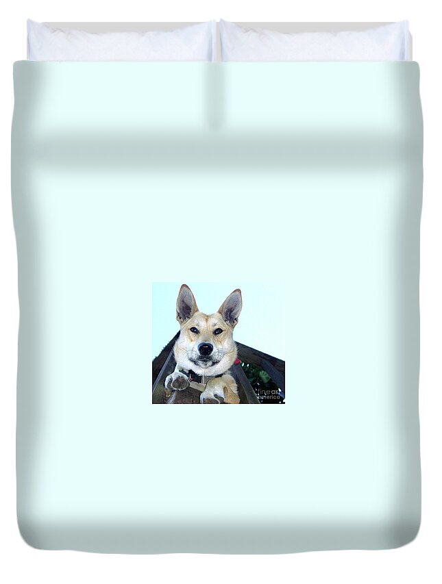 Dog Duvet Cover featuring the photograph Sunny by Rory Siegel