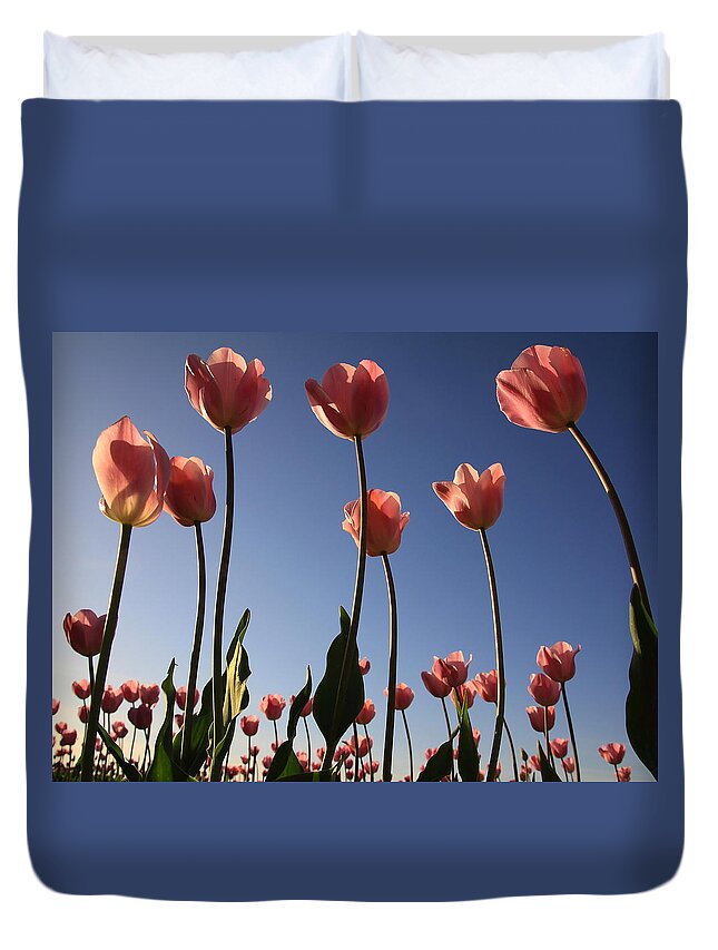 Flowers Duvet Cover featuring the photograph Sunny Tulips by Steve McKinzie