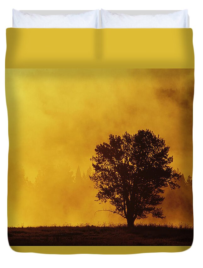 Mp Duvet Cover featuring the photograph Sunrise Through Thermal Fog And Lone by Gerry Ellis