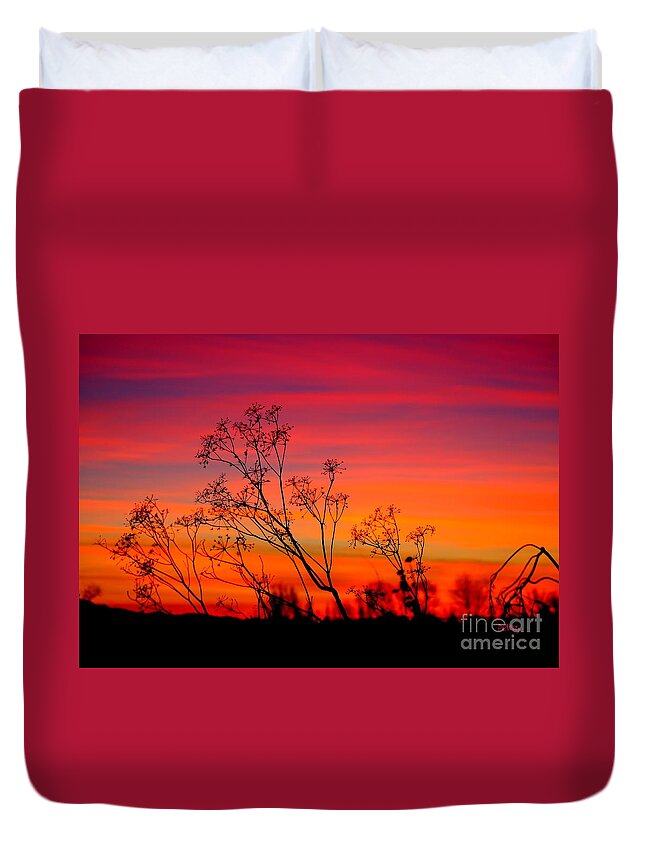 Sunset Duvet Cover featuring the photograph Sunset Silhouette by Patrick Witz
