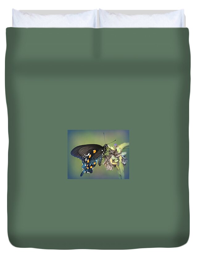Butterfly Duvet Cover featuring the photograph Swallowtail 1 by Judy Hall-Folde