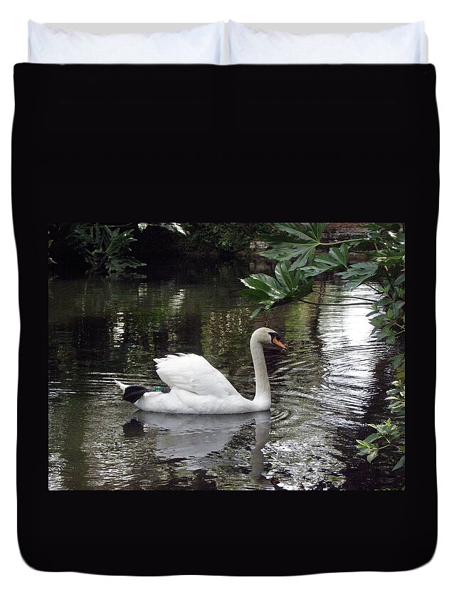 Swan Duvet Cover featuring the photograph Swan beauty by Kim Galluzzo