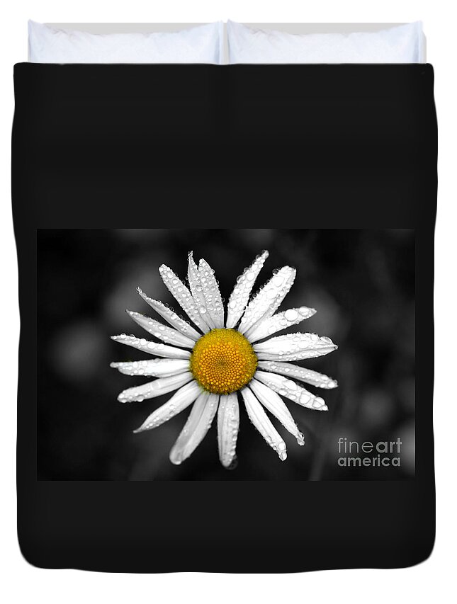 Daisy Duvet Cover featuring the photograph Sweet Daisy Jane by Brenda Giasson
