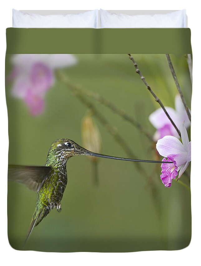 00486960 Duvet Cover featuring the photograph Sword Billed Hummingbird Feeding by Tim Fitzharris