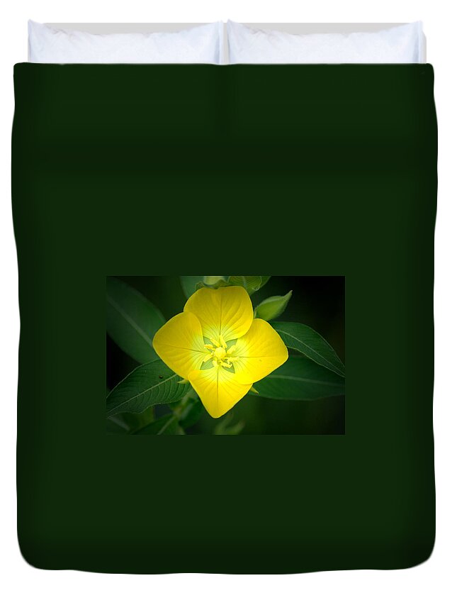 Flower Duvet Cover featuring the photograph Symmetry by David Weeks