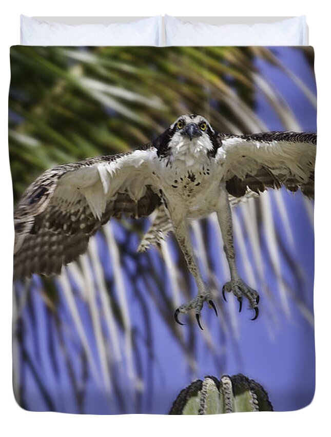 Osprey Duvet Cover featuring the photograph Take Off by Mark Harrington