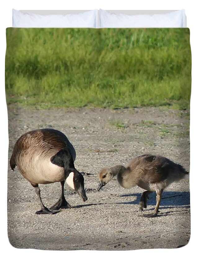Canada Goose Duvet Cover featuring the photograph Teaching by Smilin Eyes Treasures