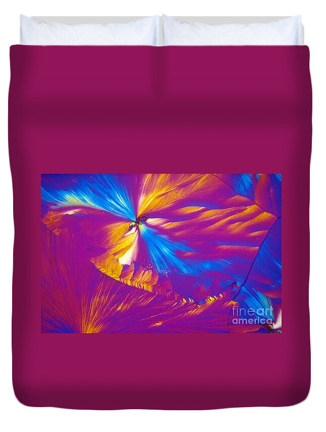 Chemistry Duvet Cover featuring the photograph Testosterone, Polarized Micrograph by Michael W. Davidson