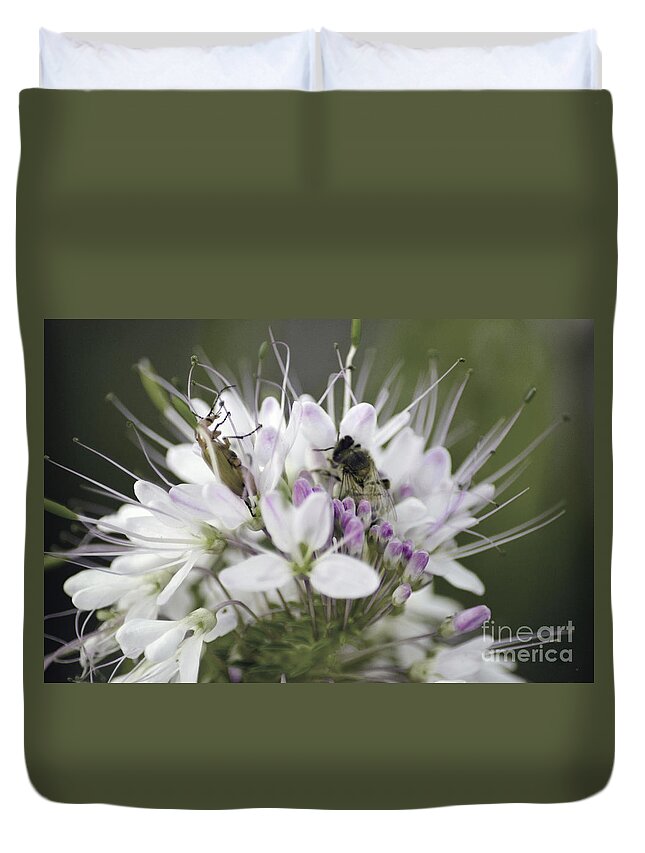 Bees Duvet Cover featuring the photograph The Beetle and the Bee by Donna Greene