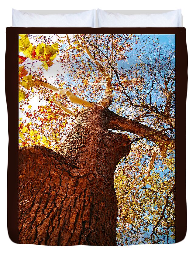 Trees Duvet Cover featuring the photograph The Deer Autumn Leaves Tree by Peggy Franz