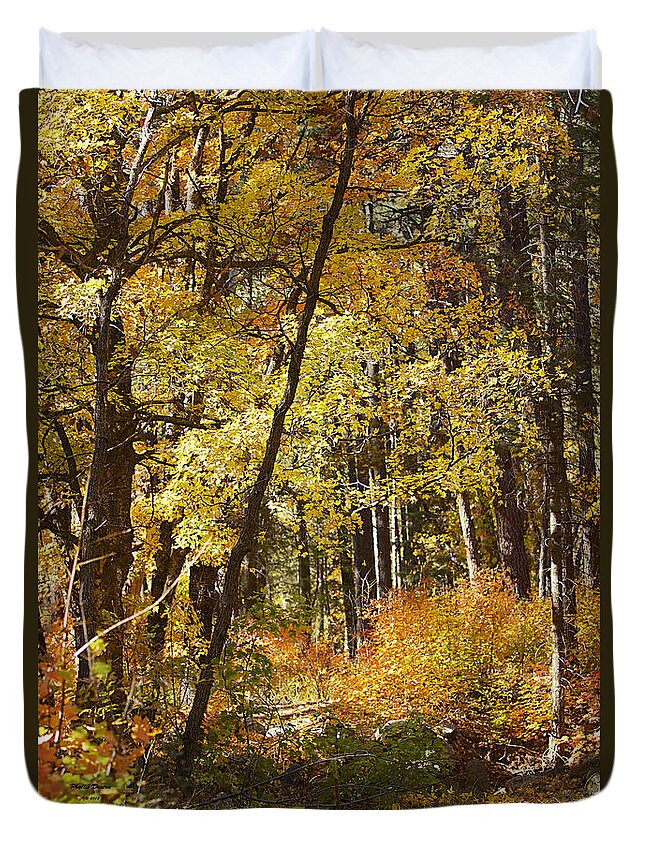 Forest Duvet Cover featuring the photograph The Forest Beckons by Phyllis Denton