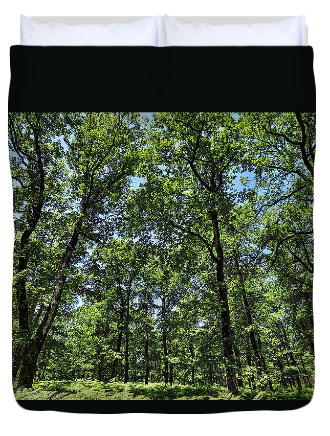 Background Duvet Cover featuring the photograph The forest of Foloi - Greece by Constantinos Iliopoulos