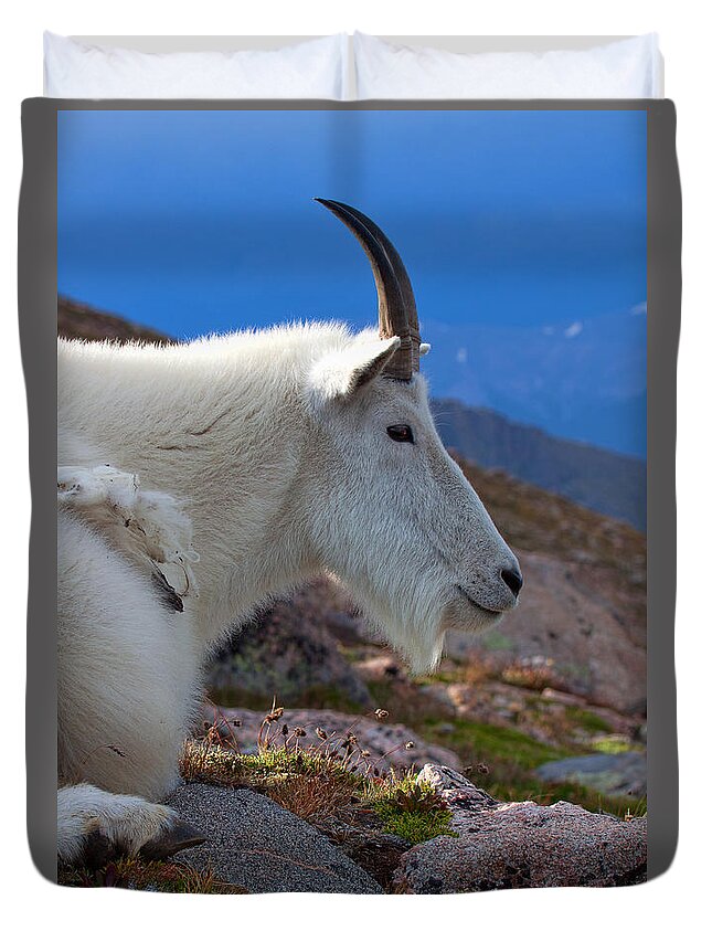Mountain Goats Duvet Cover featuring the photograph The Gathering Storm by Jim Garrison