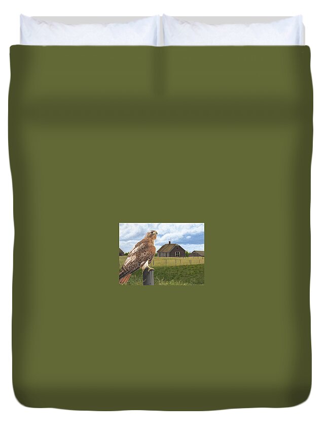 Red Tailed Hawk Over Looking Old Homestead Duvet Cover featuring the painting The Grounds Keeper by Tammy Taylor
